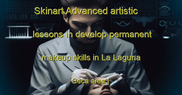 Skinart Advanced artistic lessons in develop permanent makeup skills in La Laguna Seca area | PermanentmakeupTraining | PermanentmakeupClasses | SkinartTraining-Mexico